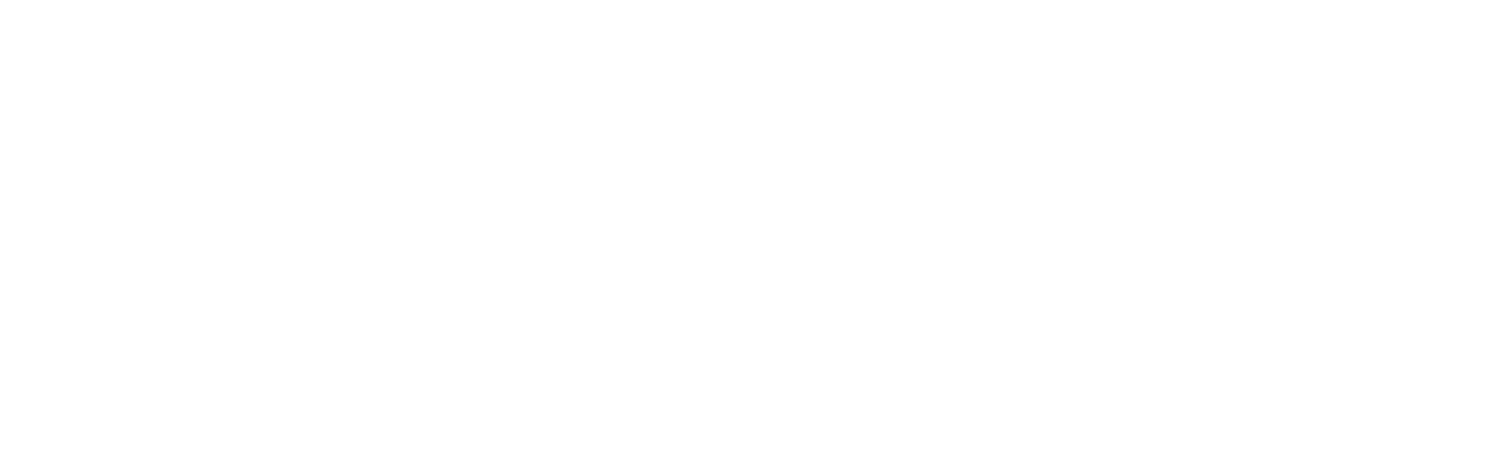 adeptaudio